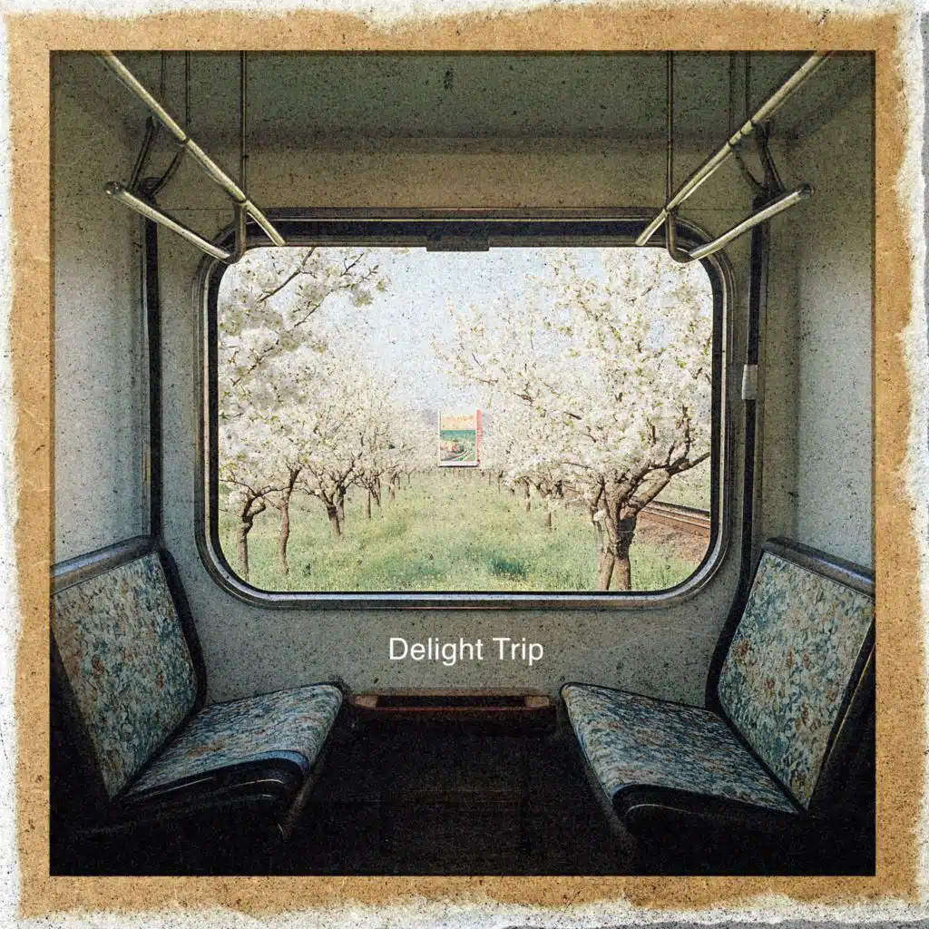 Delight Trip