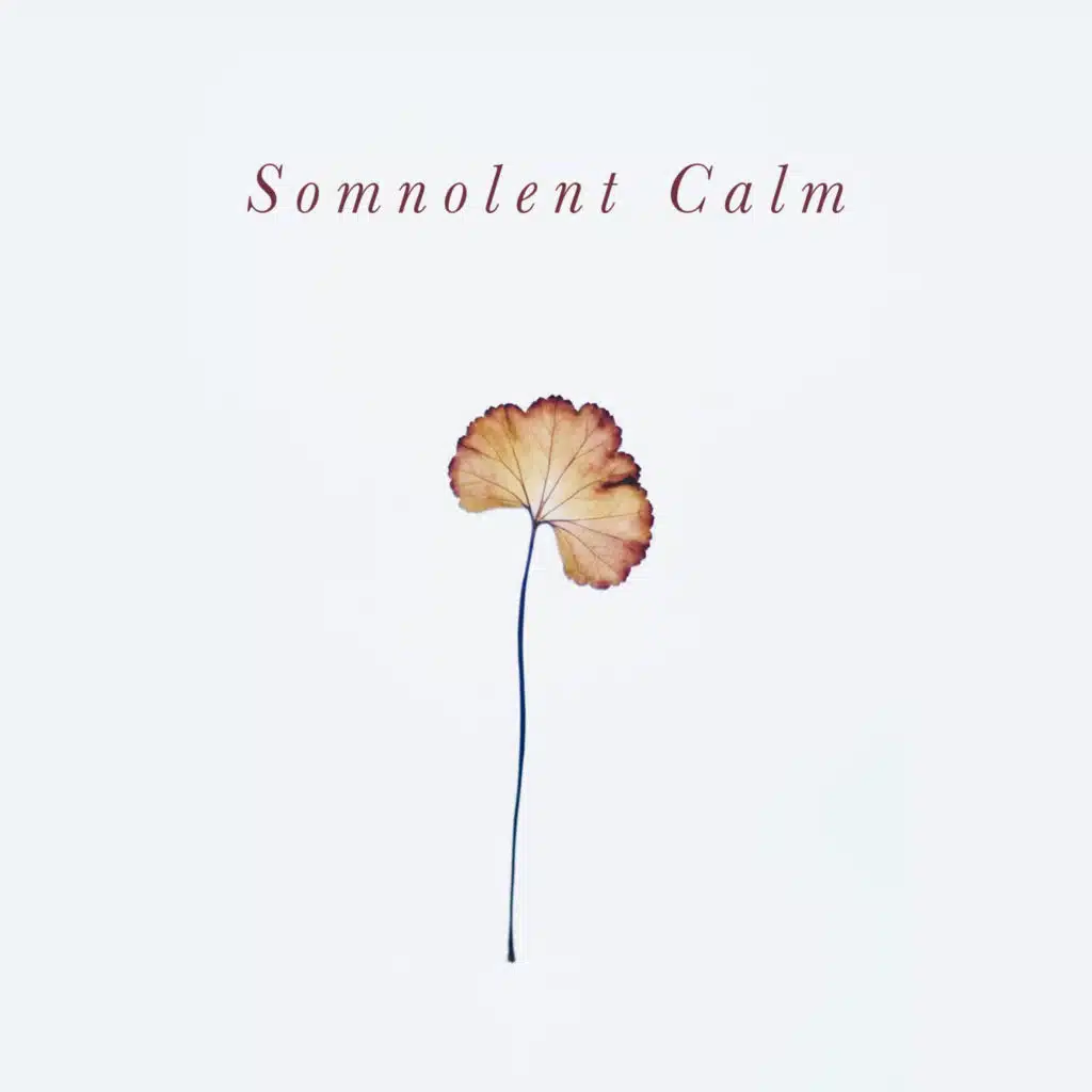 Somnolent Calm