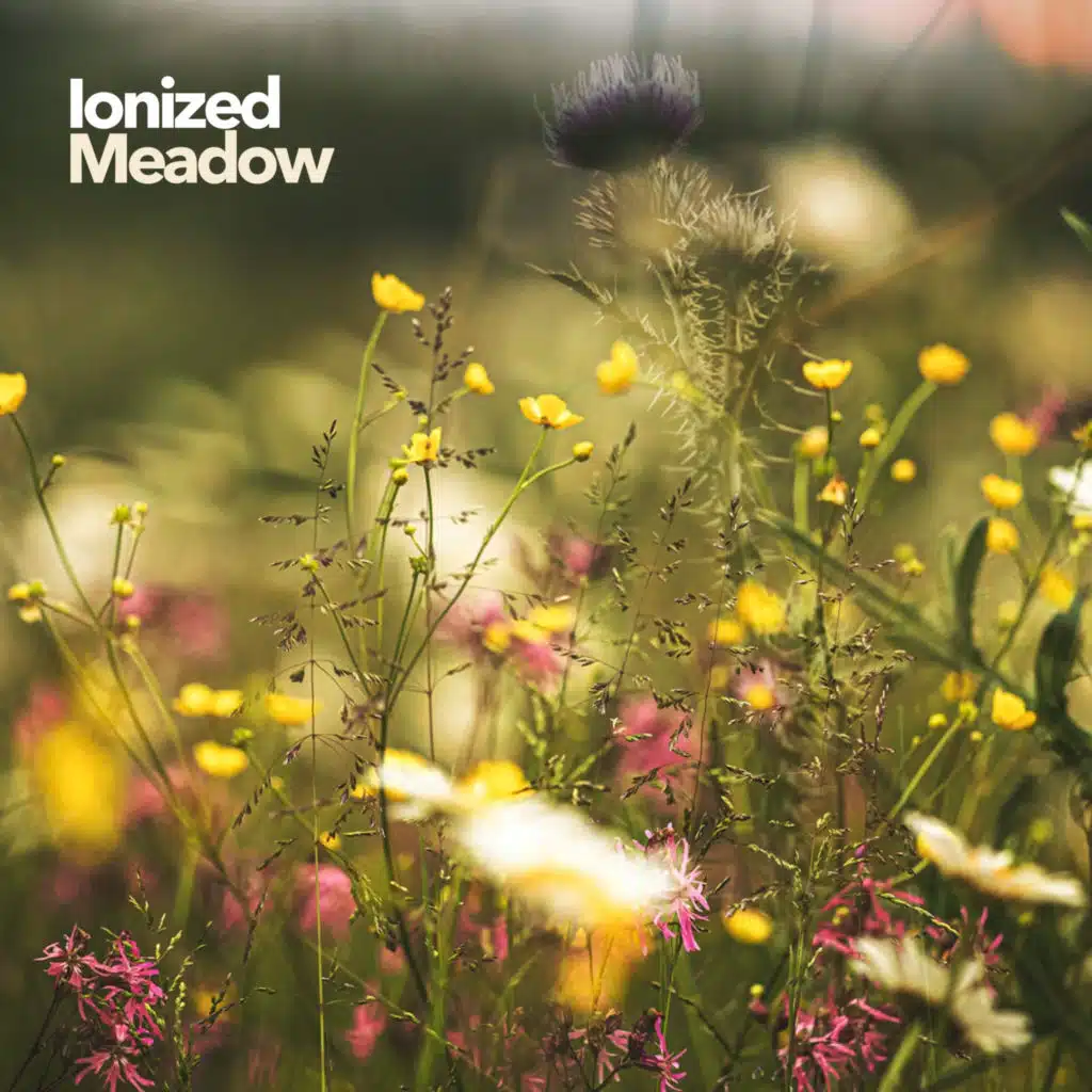 Ionized Meadow
