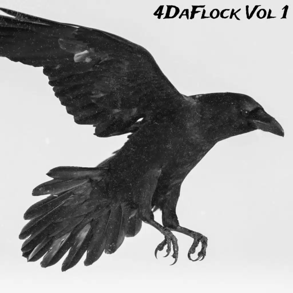 4DaFlock, Vol. 1