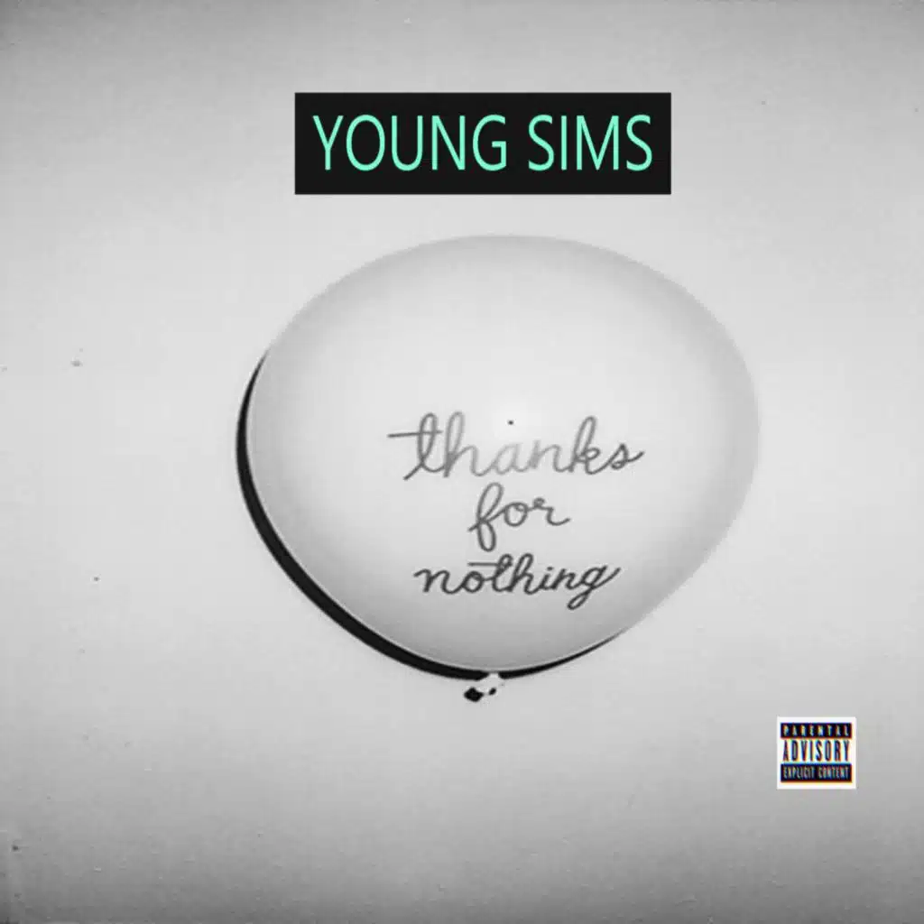 THANKS FOR NOTHING (feat. D SIMS)