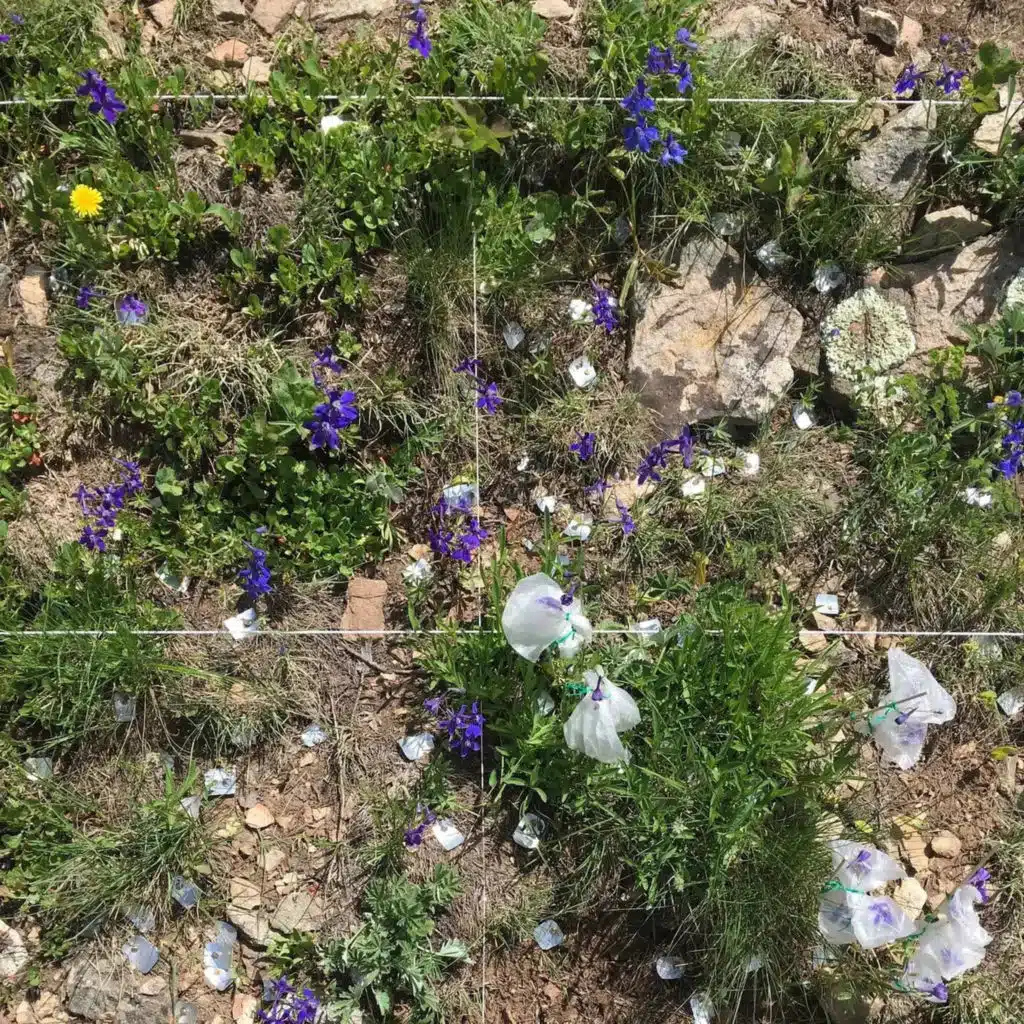 Ep. 518 - The Complexities of Plant Reproduction