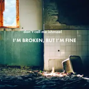 I'm Broken, But I'm Fine