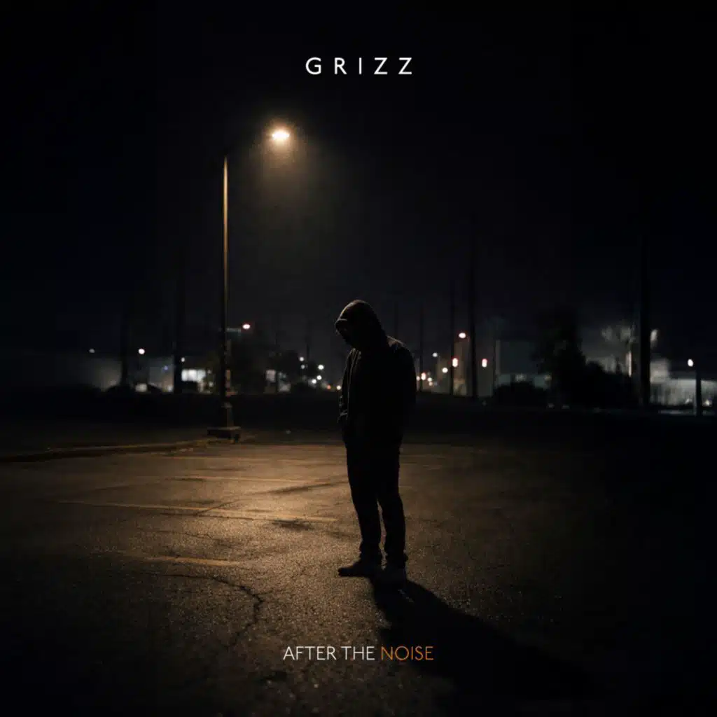 After the Noise