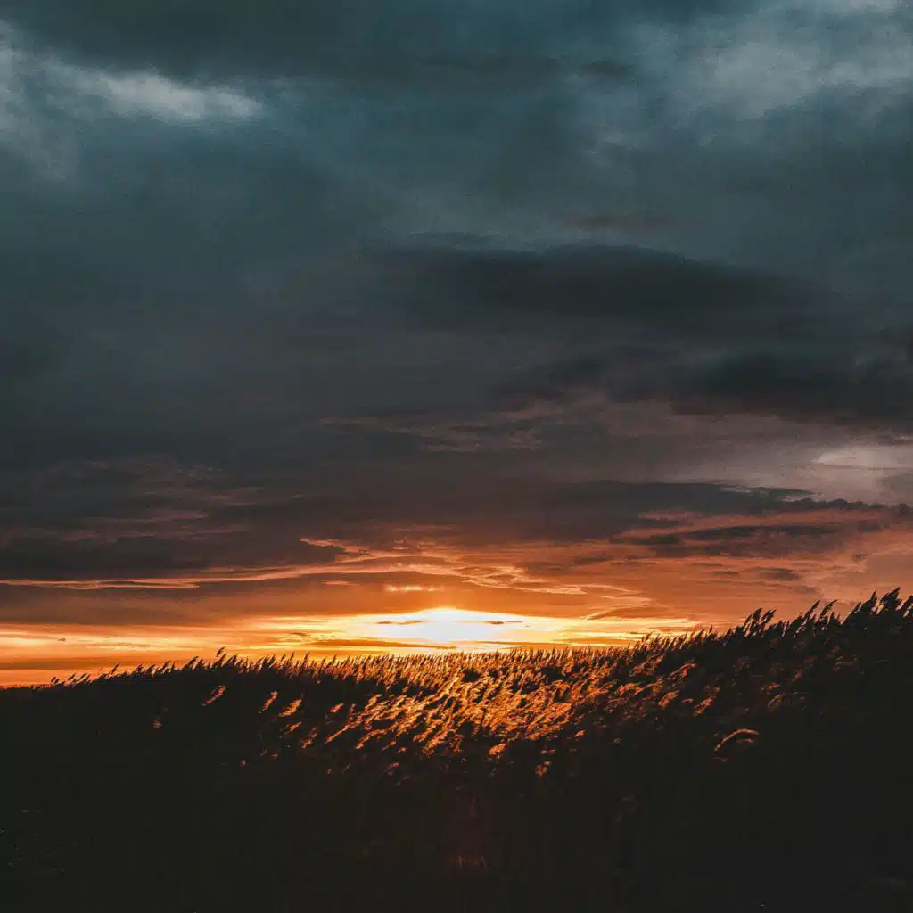 Before the Storm Breaks