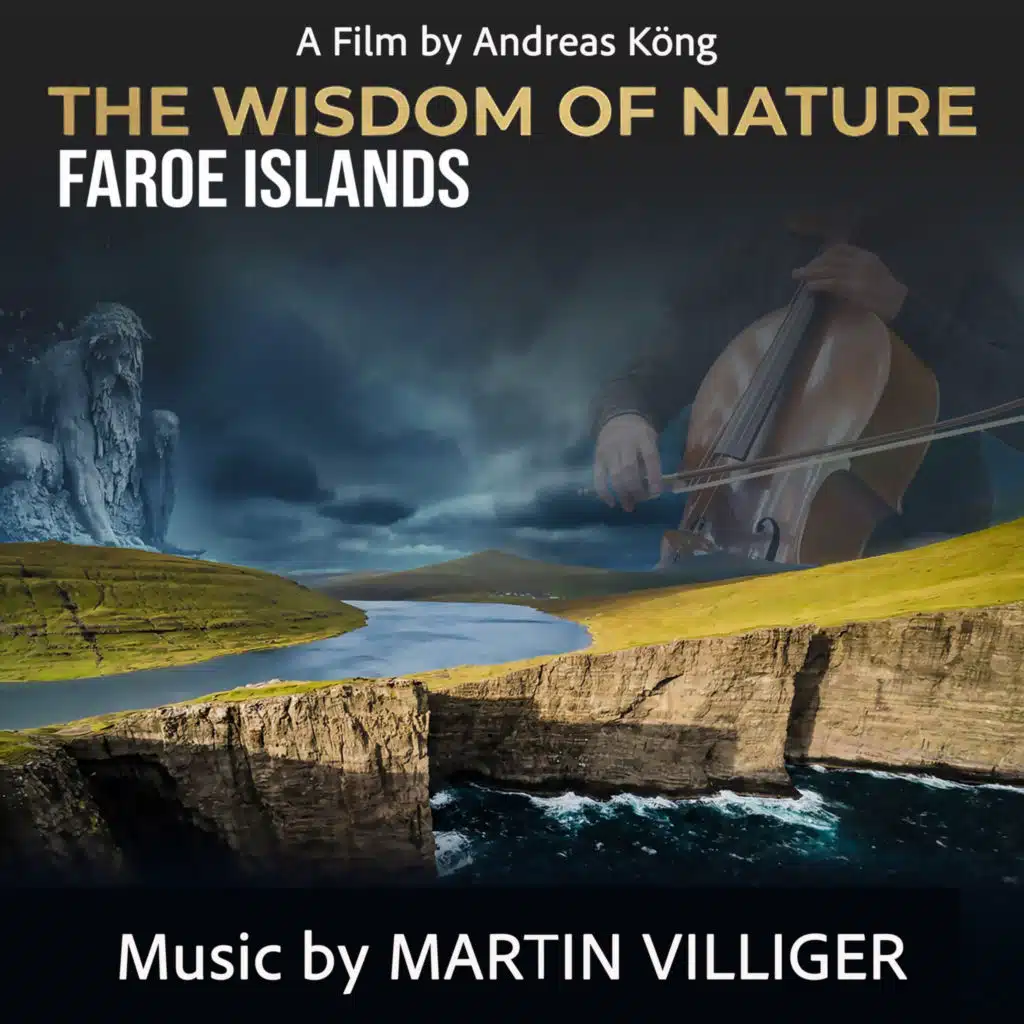 Martin Villiger