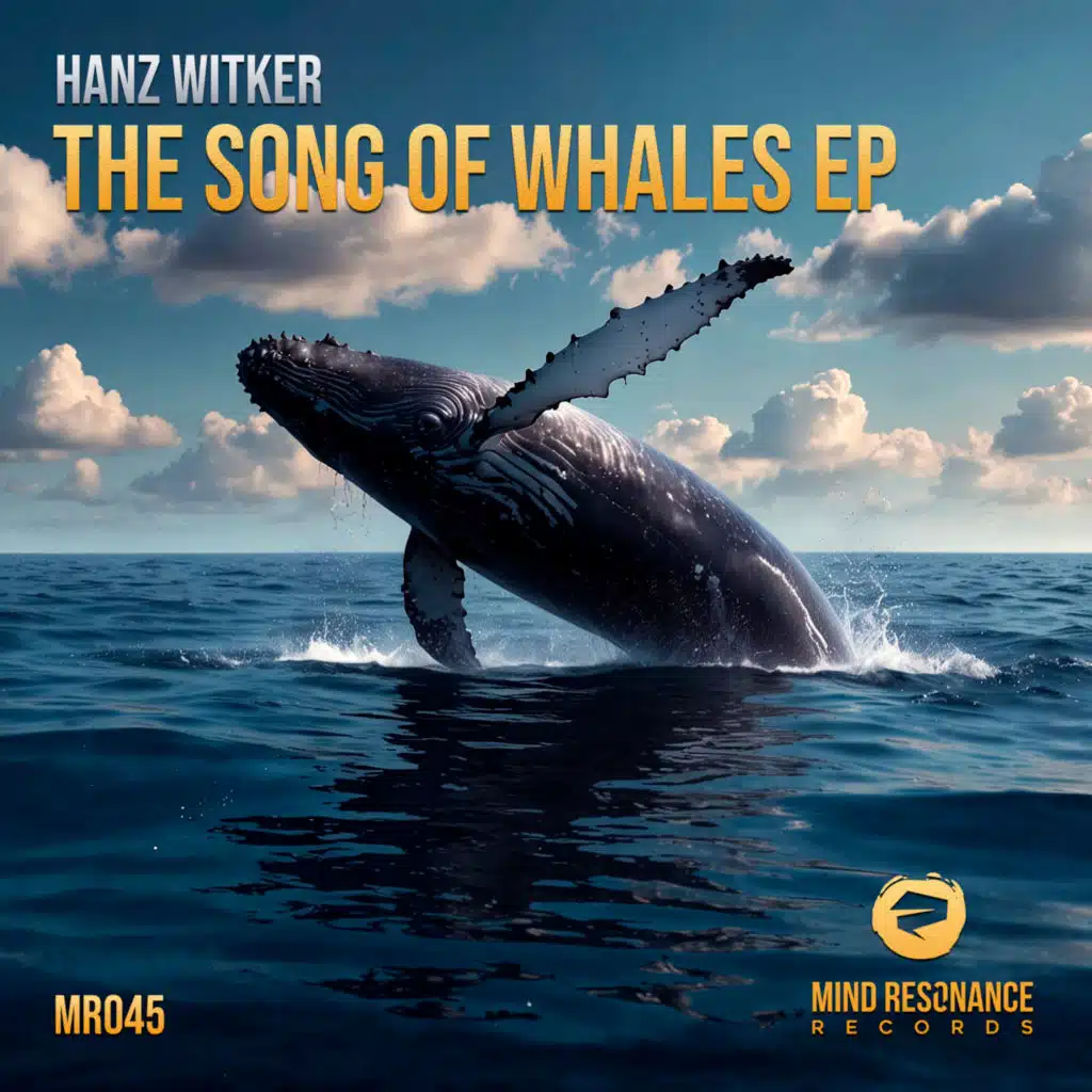 The Song Of Whales (Braulio Stefield Remix)
