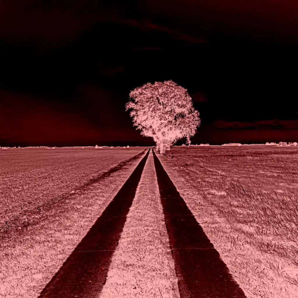 Lost (The Micronaut Remix)