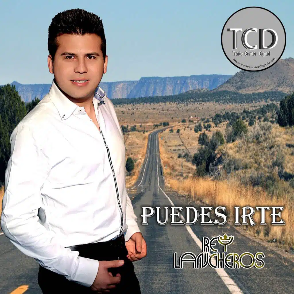 Borracho y Sin Tu Amor