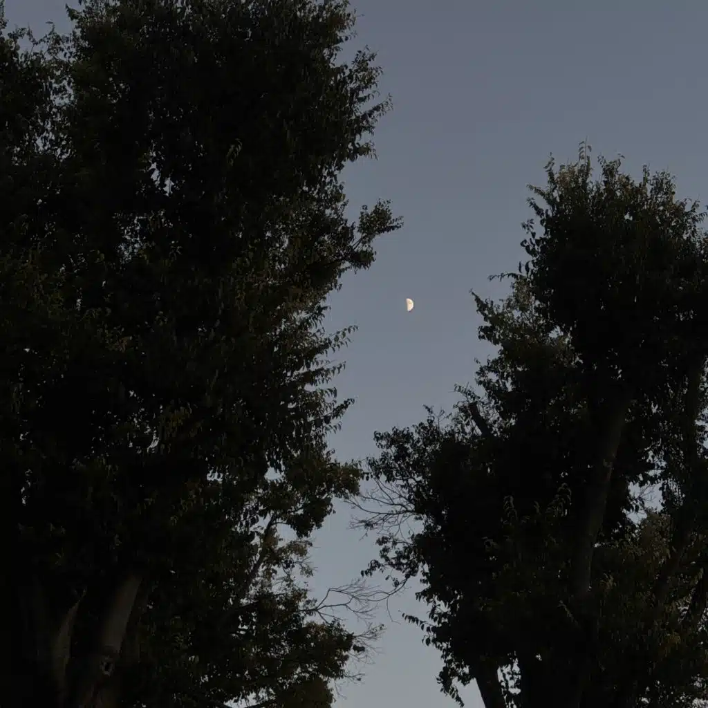 weightless