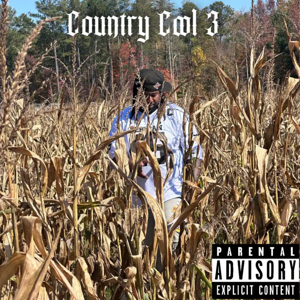 Country Cool 3
