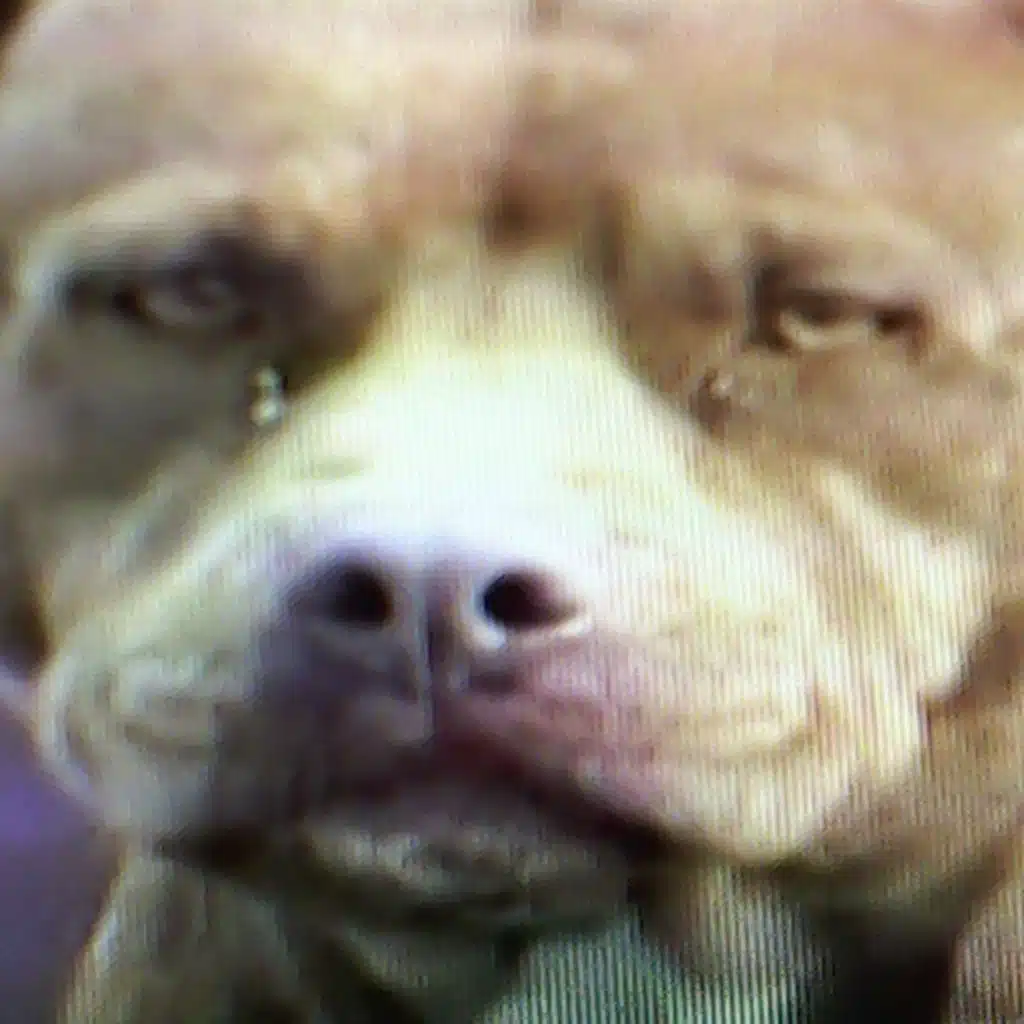 an example of wasted potential