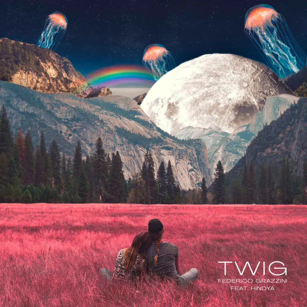 Twig (feat. Hindya)