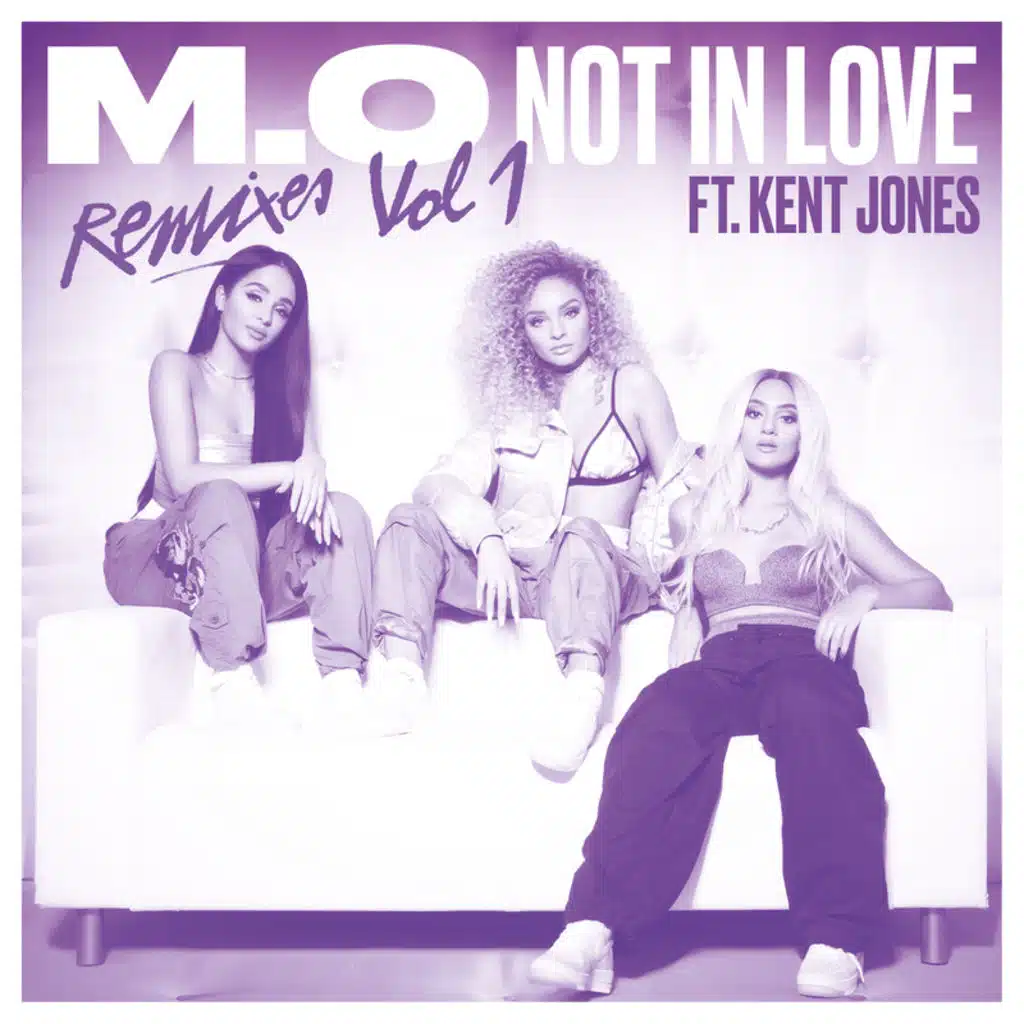 Not In Love (Bless Beats Remix) [feat. Kent Jones]