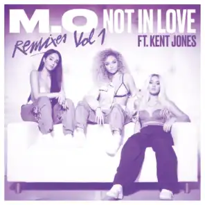 Not In Love (Remixes Vol. 1) [feat. Kent Jones]