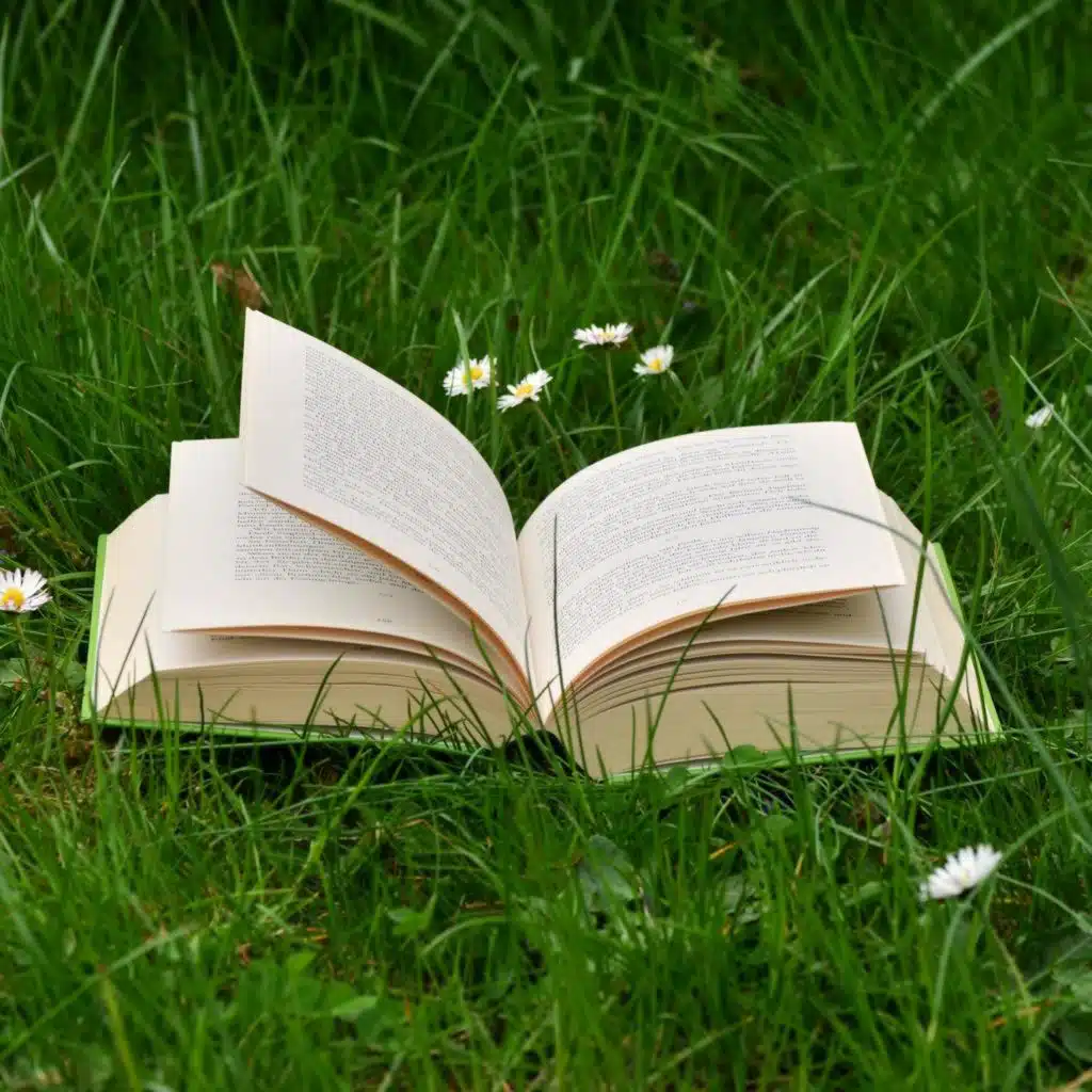 The Bookshelf with Sean O’Rourke