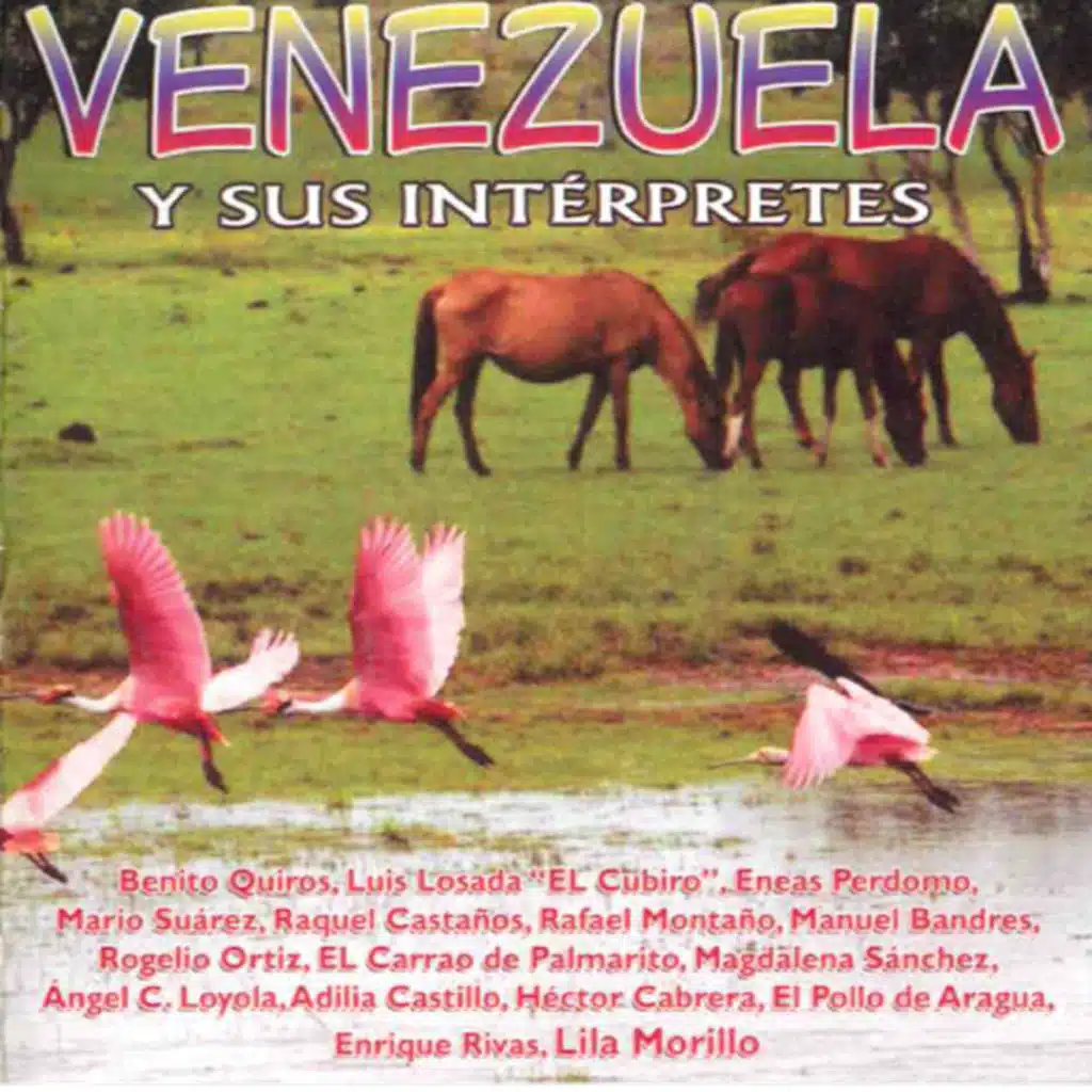 Venezuela Y Sus Interpretes