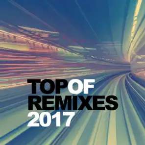 Top of Remixes 2017