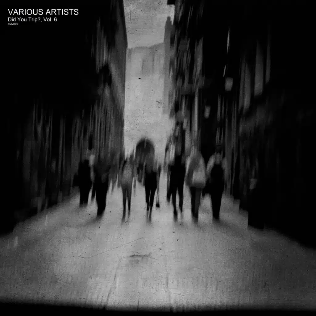 Did You Trip?, Vol. 6