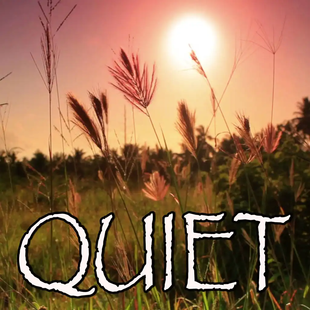 Quiet - Tribute to MILCK (Instrumental Version)