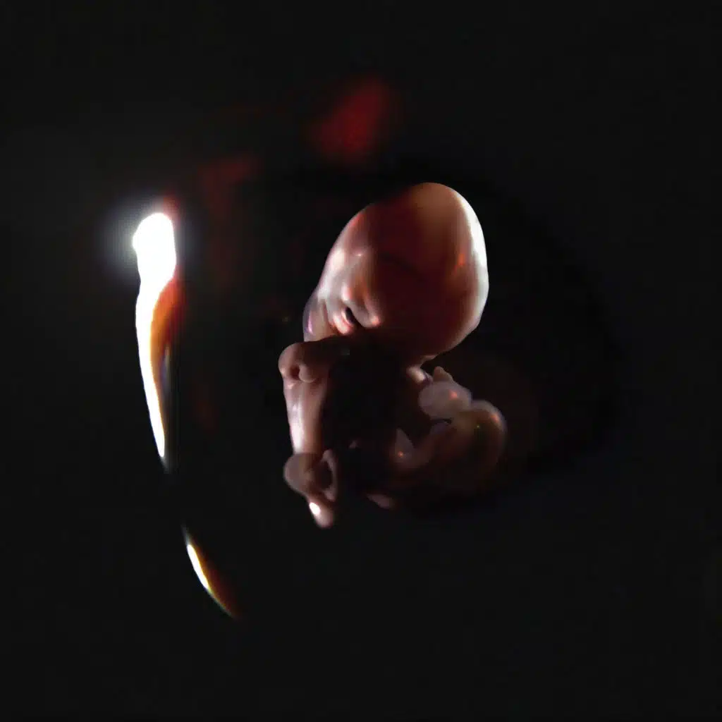 RESONANCE IN EXOPLANETARY HYBRIDIZATION