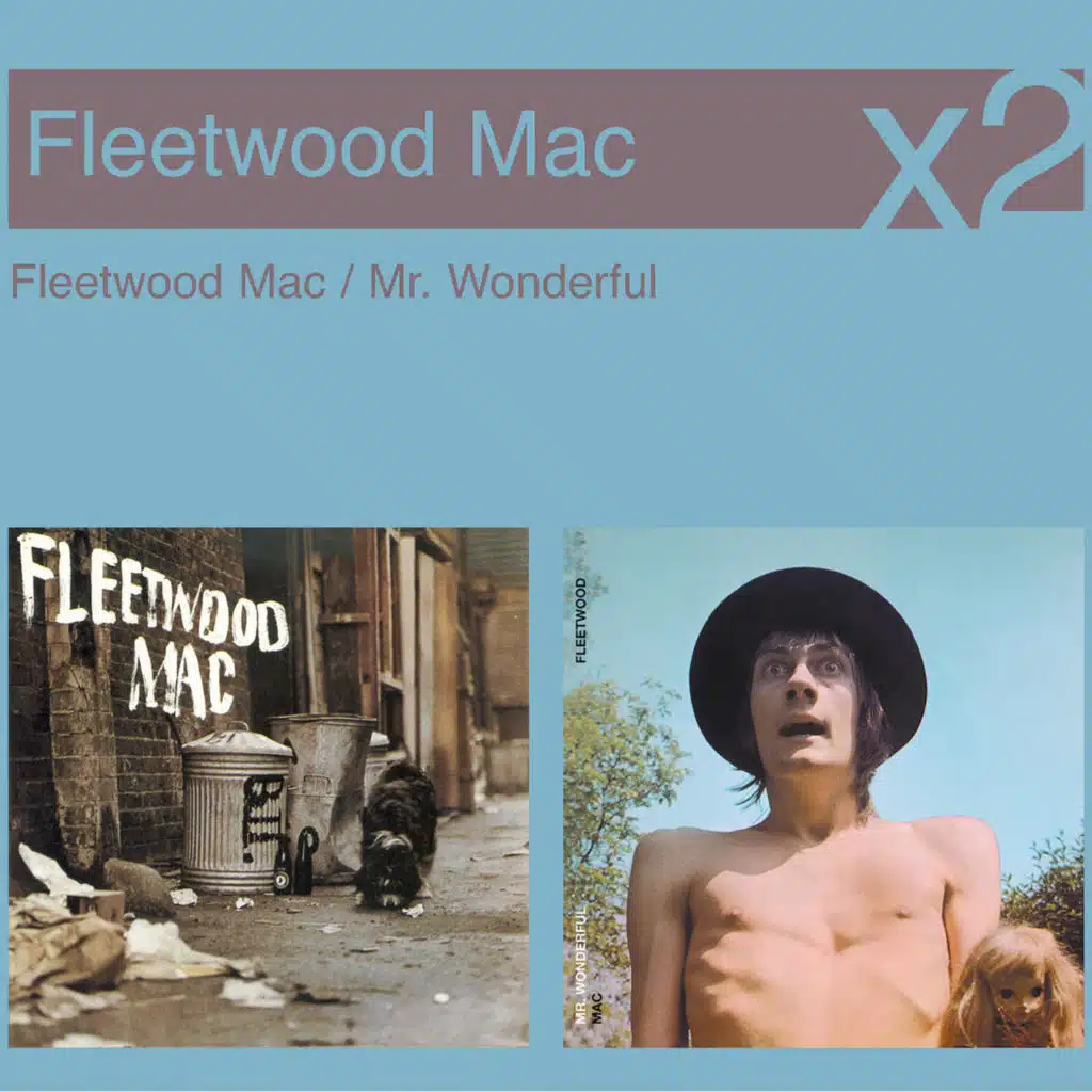 Fleetwood Mac / Mr Wonderful
