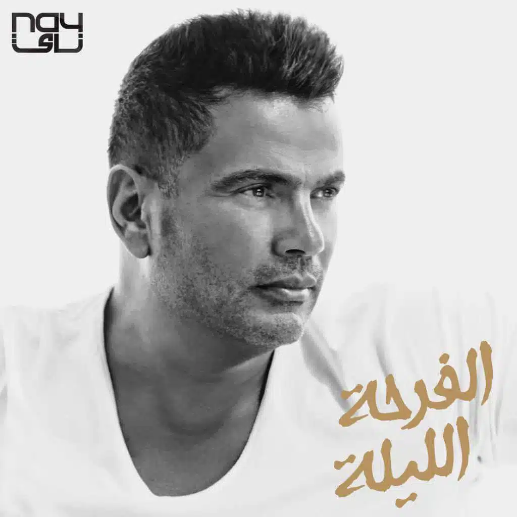 الفرحة الليلة