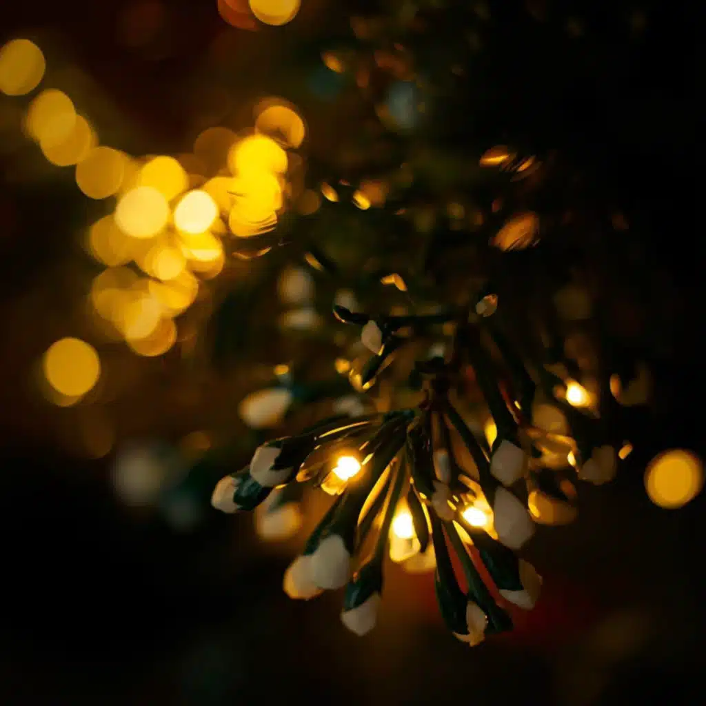 Christmas Bliss