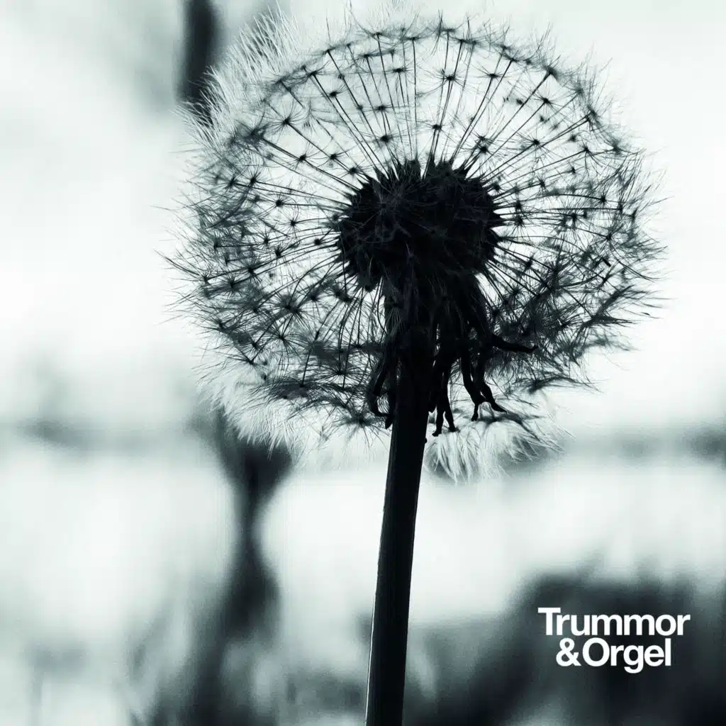 Trummor & Orgel