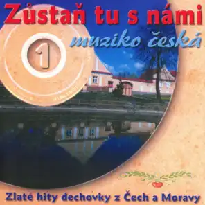 Zůstaň Tu S Námi Muziko Česká, Vol. 1