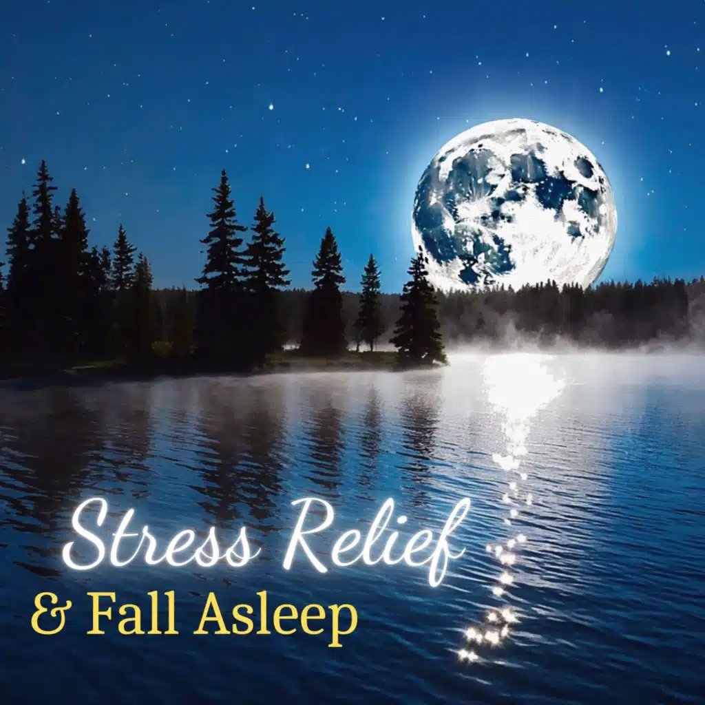 Stress Relief & Fall Asleep: Calm Oasis Source of Mindfullness