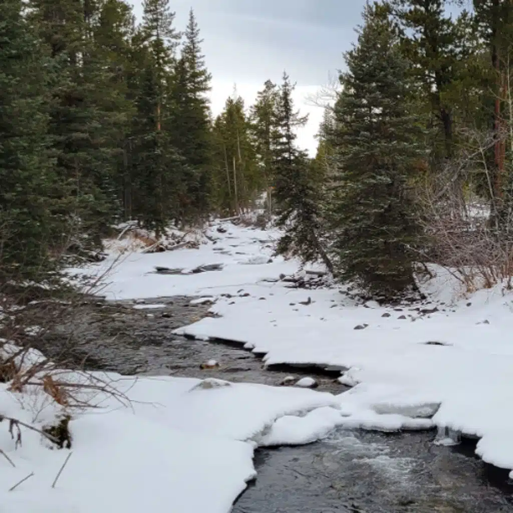 West Fork of Rock Creek