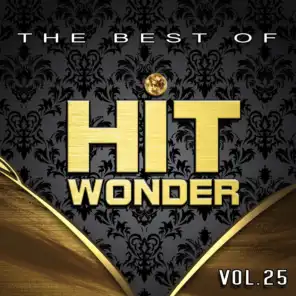 Hit Wonder: The Best Of, Vol. 25