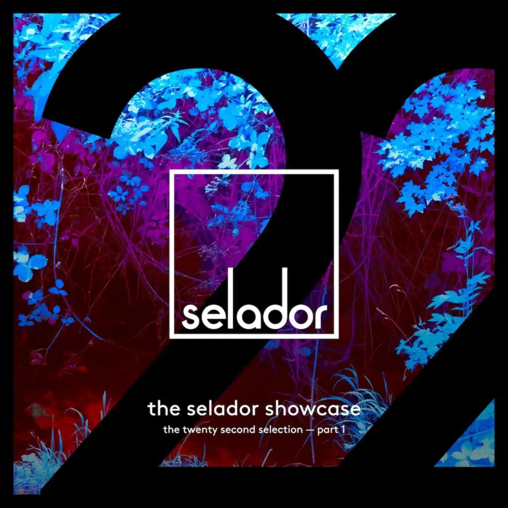 Selador Showcase 22, Pt. 1
