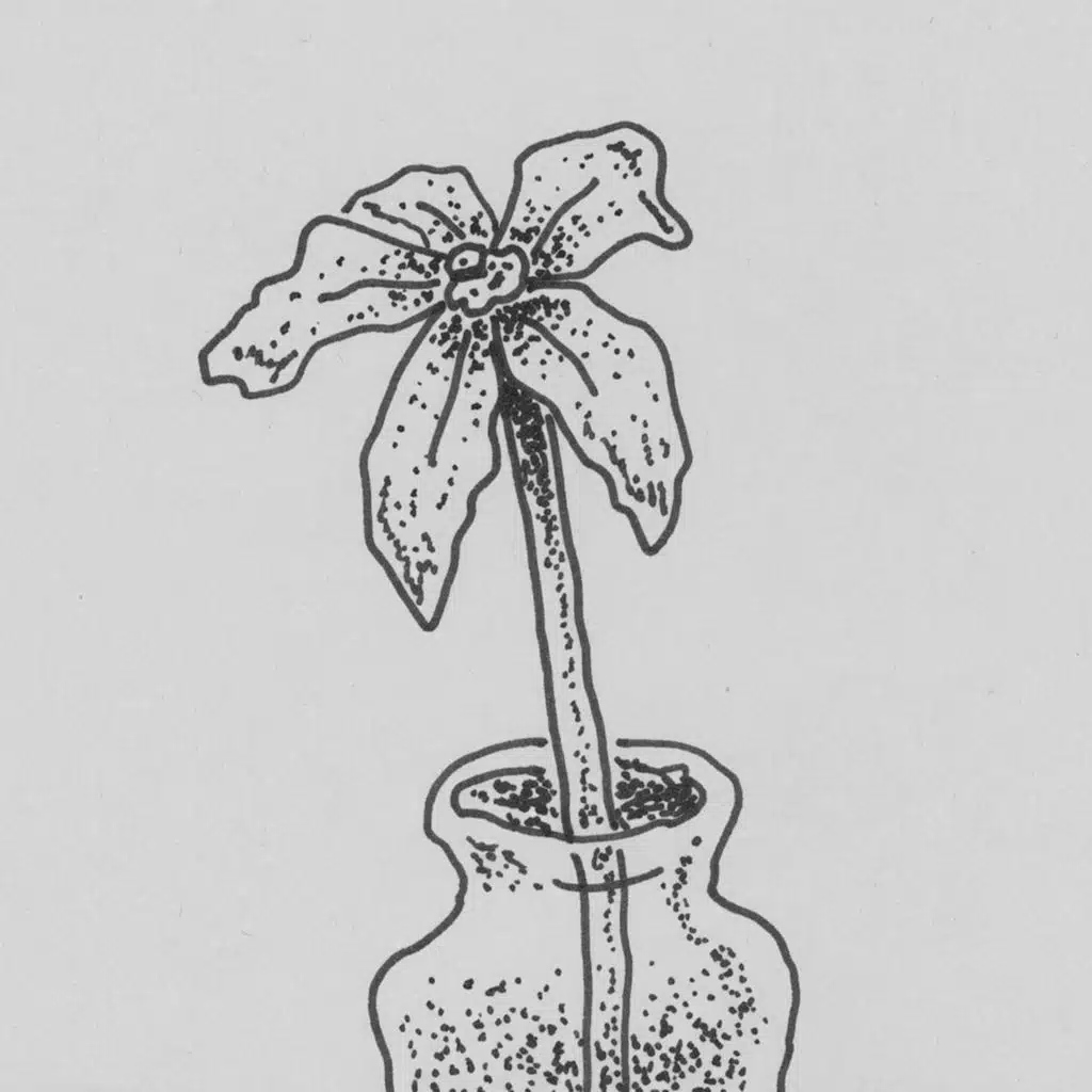 Frito / Como a una flor