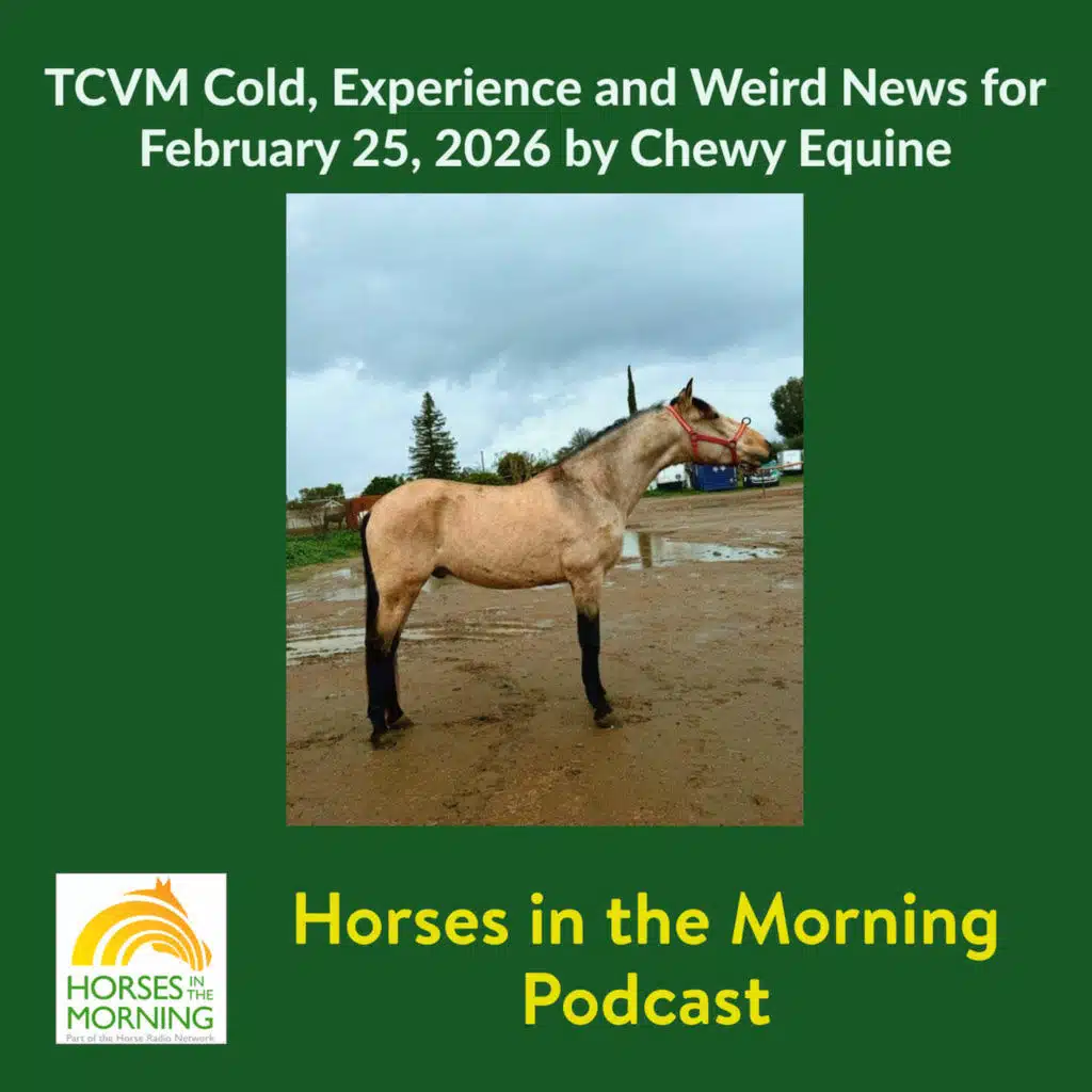 TCVM Cold, Experience and Weird News for February 25, 2026 by Chewy Equine