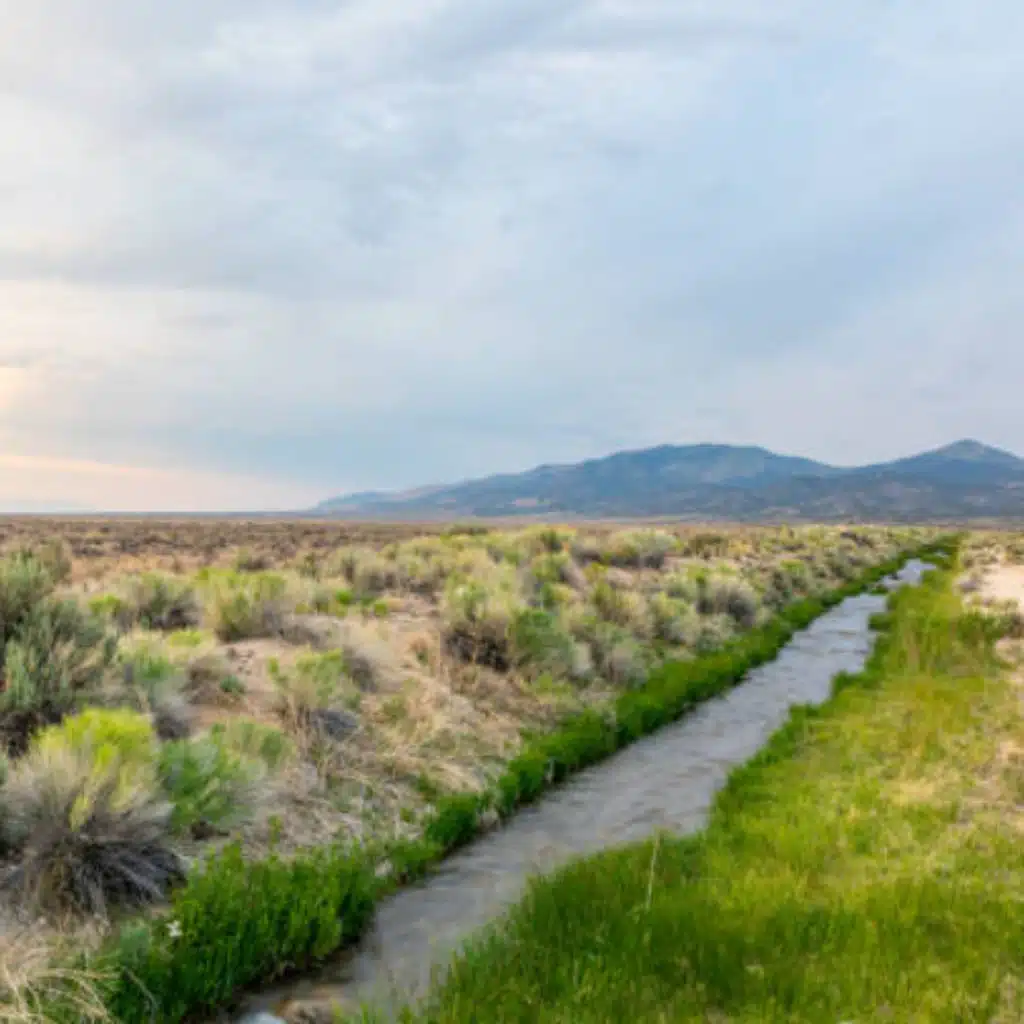 Finding Peace in God's Provision (Silas and Kim Kelty)