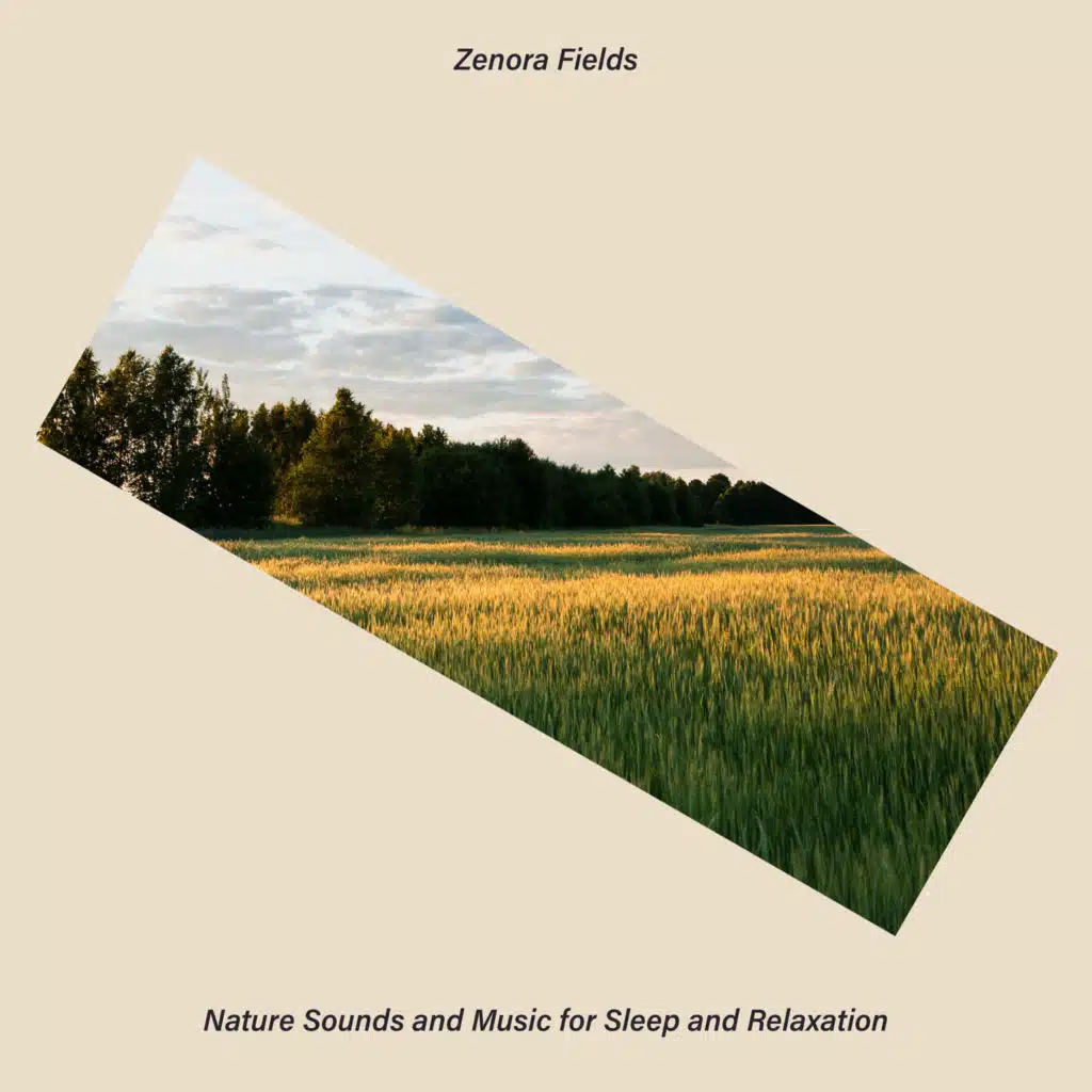 Nature Sounds and Music for Sleep and Relaxation