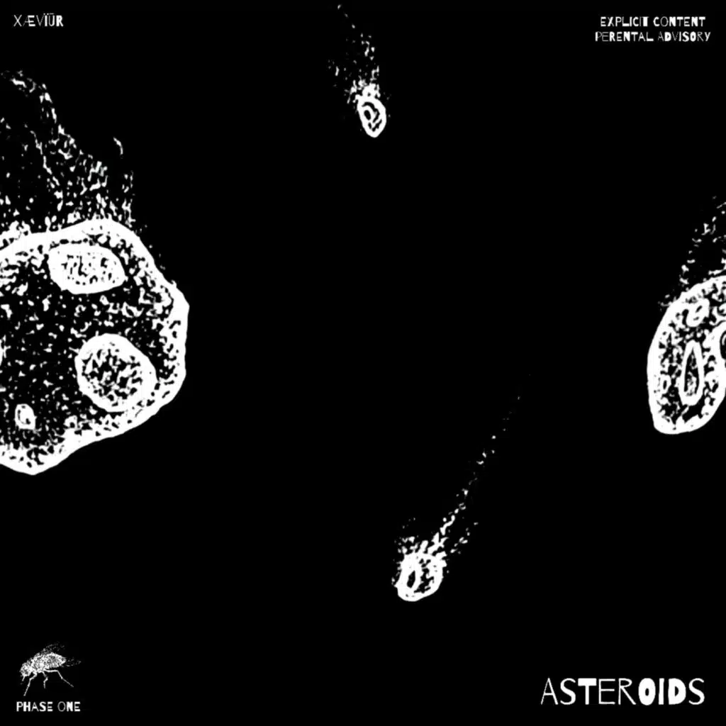 ASTEROIDS