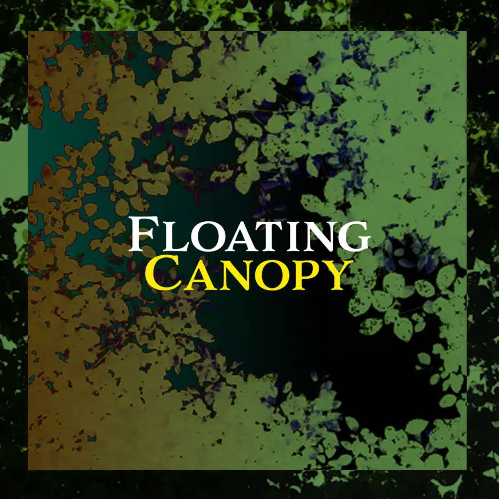 Floating Canopy
