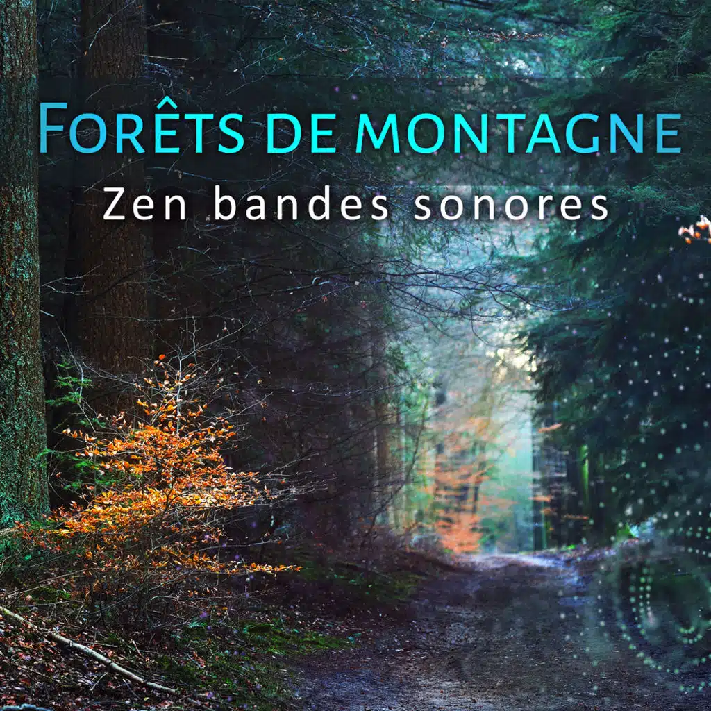 Forêts de montagne