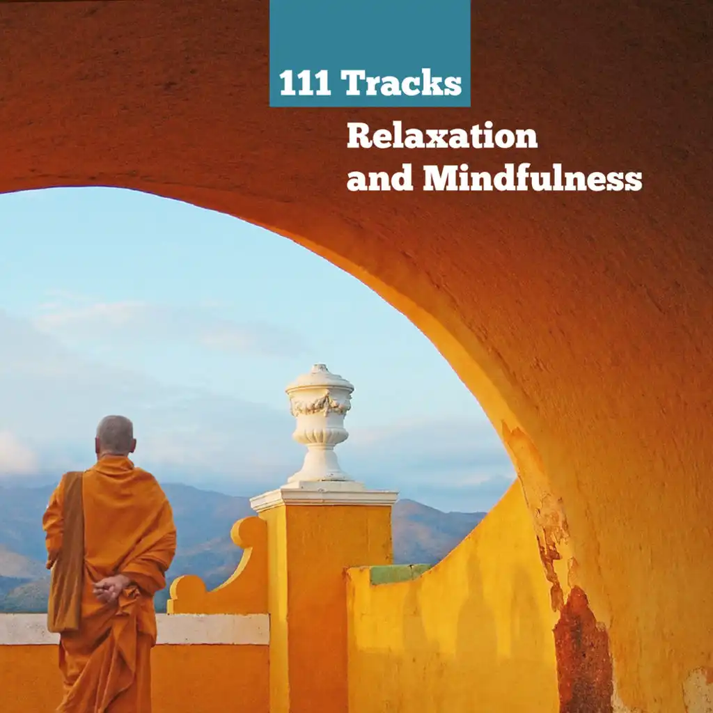 111 Tracks Relaxation and Mindfulness: Meditation Spiritual Healing Sounds of Nature, New Age Yoga Music, Find Your Inner Peace & Stress Relief