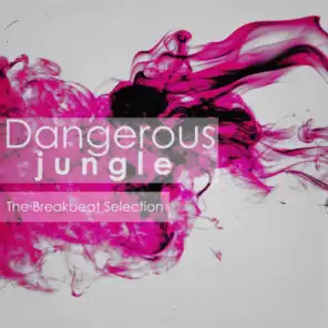 Dangerous Jungle - The Breakbeat Selection