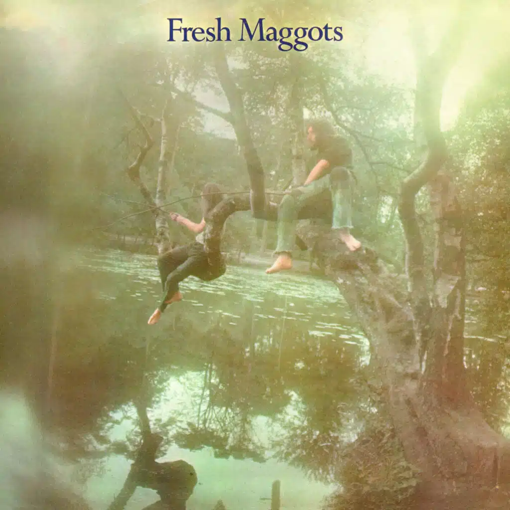 Fresh Maggots