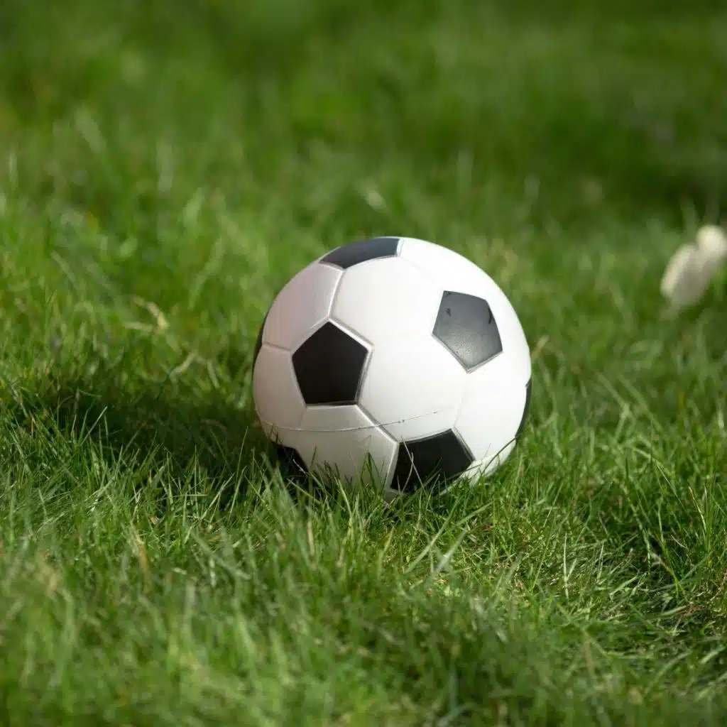 FAI confirmed Ireland will play Israel at the Aviva Stadium