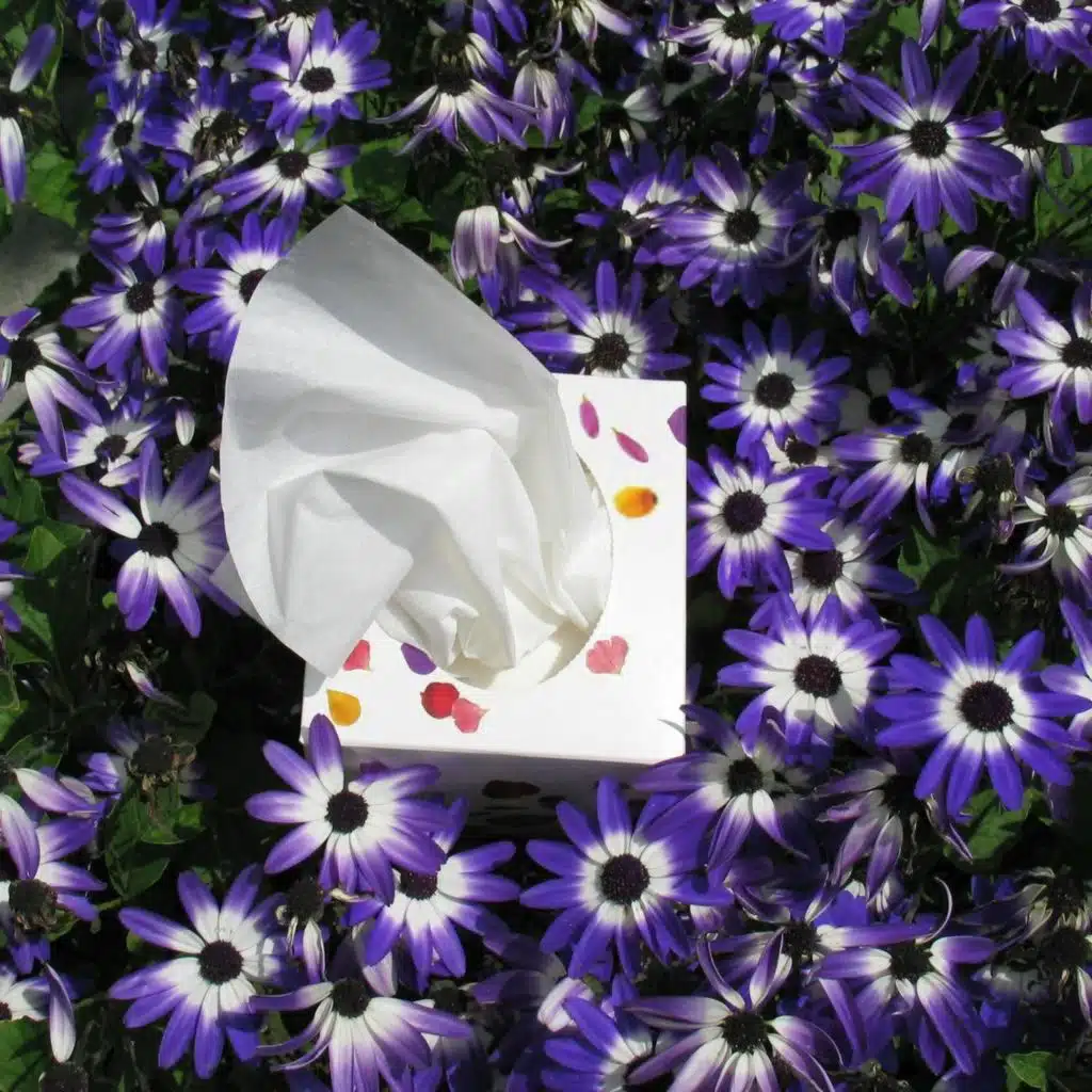 How to cope during hayfever season?