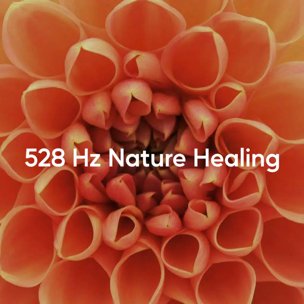 528 Hz Nature Healing