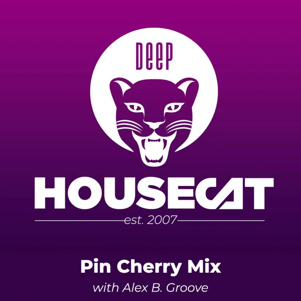 Pin Cherry Mix - with Alex B. Groove | Deep House Cat Show