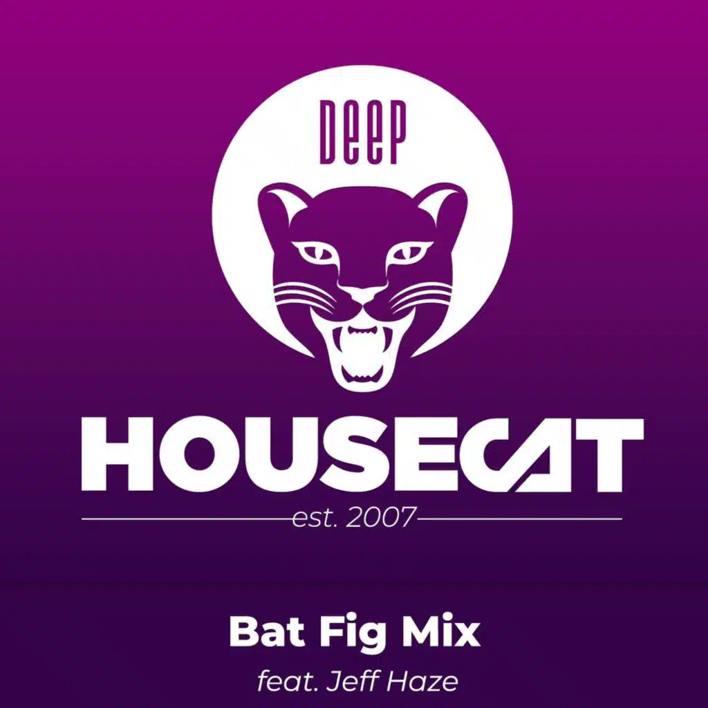 Bat Fig Mix - feat. Jeff Haze | Deep House Cat Show