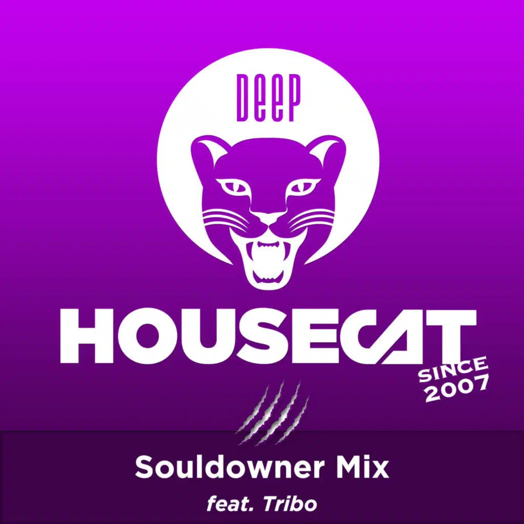 Souldowner Mix - feat. Tribo | Deep House Cat Show